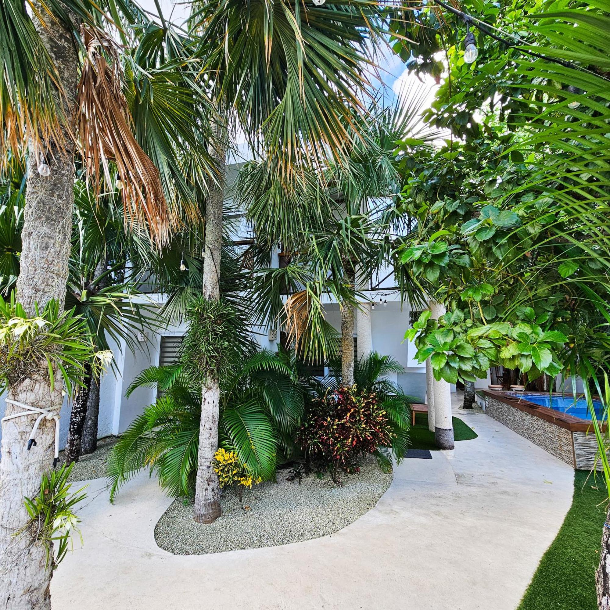 Sayu - Suites Cozumel Exteriér fotografie
